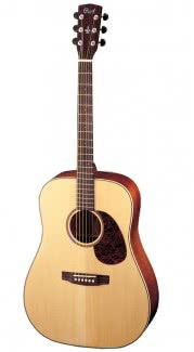 Фото Cort EARTH 100RW NAT