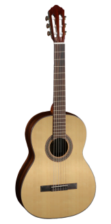 Фото Cort AC150 NS с чехлом