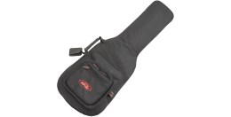 Фото SKB-GB66