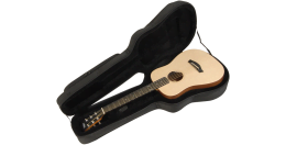 Фото SKB-SC300