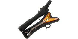 Фото SKB-SC58
