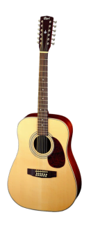 Фото Cort Earth 70-12 OP