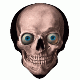 Фото HOTPICKS Bullet Skull